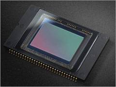 Sony DSC-R1 APS-C CMOS Sensor (12kb)