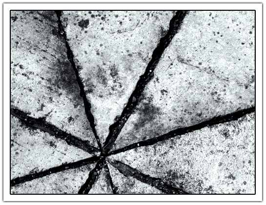 Ansel's tiles (30kb)