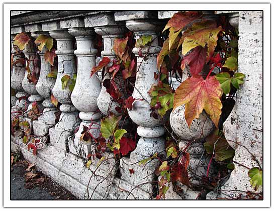 Stone fence with autumn leaves (50kb)