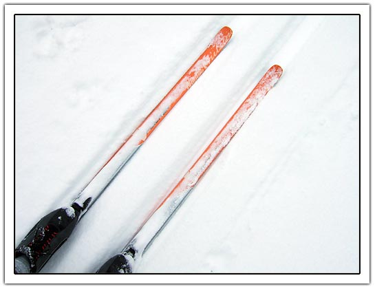 two ski's diagional (27kb)