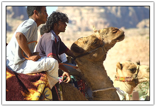 Camel with two man (64kb)