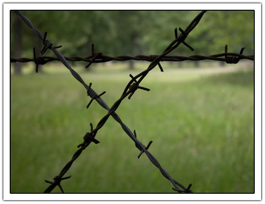 Barbed wire at transit camp westerbork (25K)