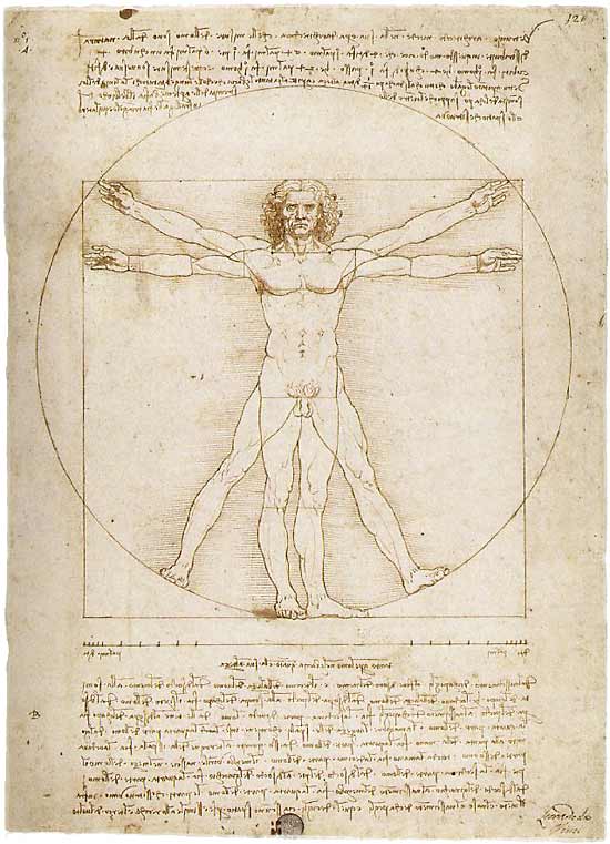 Da Vinci, Vitruvian Man (63kb)