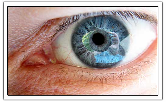 Self portrain in blue: eye (27Kb)