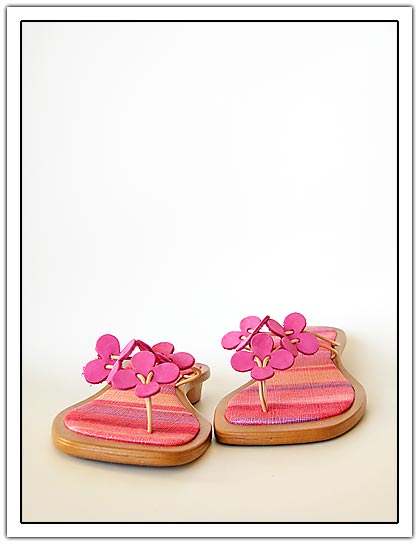 2 shoes with pink flowers and white background (23kb)