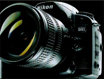 Nikon D80 scan (22kb)