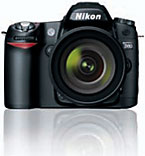 Nikon D80 glossy (6kb)